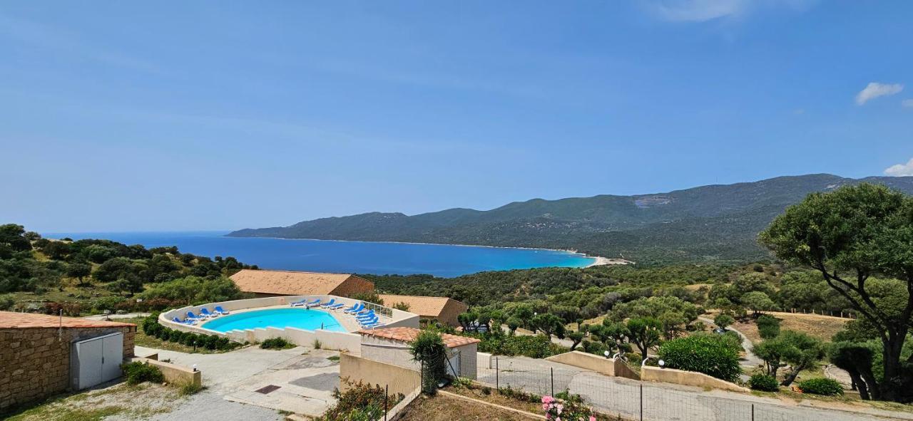 Chalereux T2 Vue Mer Et Piscine Alba Rossa Serra-di-Ferro Kültér fotó