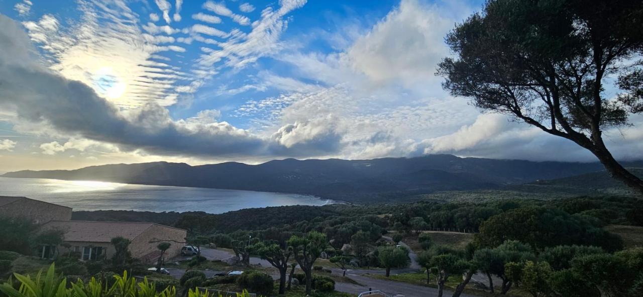 Chalereux T2 Vue Mer Et Piscine Alba Rossa Serra-di-Ferro Kültér fotó