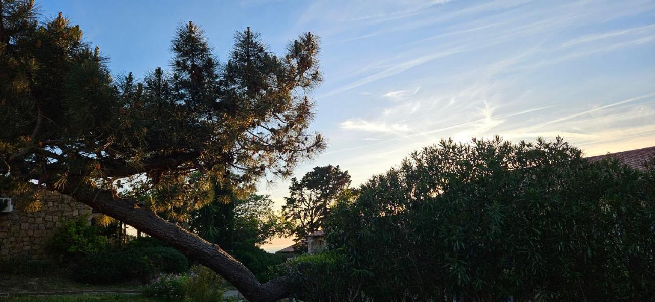 Chalereux T2 Vue Mer Et Piscine Alba Rossa Serra-di-Ferro Kültér fotó